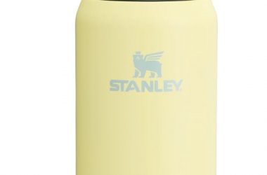 Stanley All Day Slim Bottle Just $40!